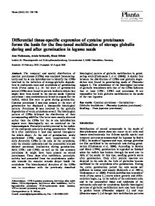 Differential tissue-specific expression of cysteine proteinases forms the basis for the fine-tuned mobilization of storage globulin during and after germination in legume seeds