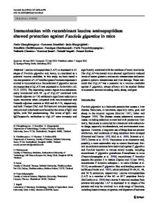 Immunization with recombinant leucine aminopeptidase showed protection against Fasciola gigantica in mice