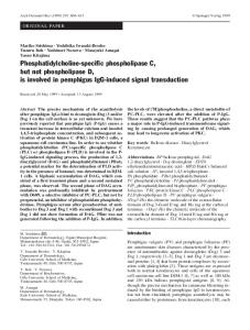 Phosphatidylcholine-specific phospholipase C,  but not phospholipase D,  is involved in pemphigus IgG-induced signal transduction